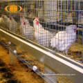 Haio High Security Poultry Gage